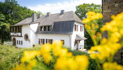 Landhaus Karbach komplett oder einzelne Wohneinheiten Villa inkl Sauna bzw Waldhäuschen - Foto 2