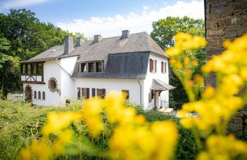 Landhaus Karbach komplett oder einzelne Wohneinheiten Villa inkl Sauna bzw Waldhäuschen - Foto 2