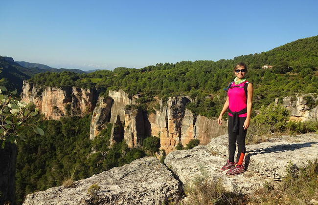 El Palauet del Priorat - Foto 36
