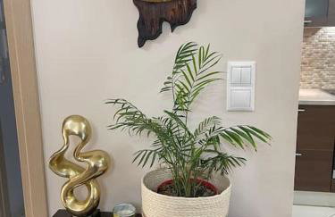 newly built apartment with amazing view - Foto 21