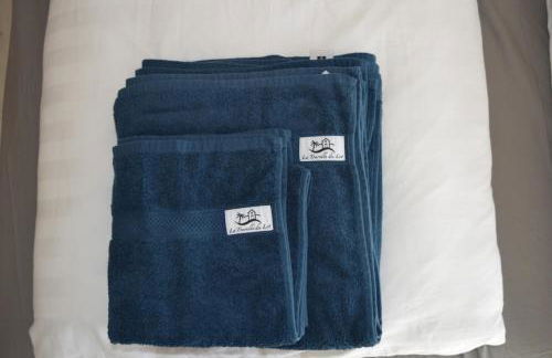 La Tourelle du Lot - Photo 46