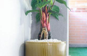 Suite Peretola Airport + Park - Foto 29