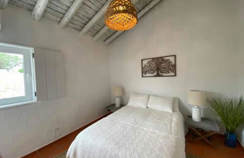 Monte Das 7 Oliveiras - Foto 35