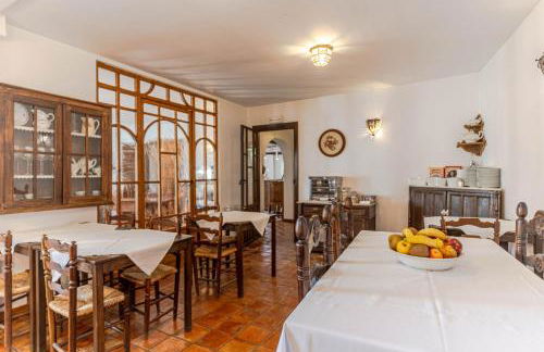 El Secreto del Olivo - Foto 4