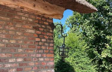 Idylle unter Reet, gemütliche Ferienwohnug - Foto 14