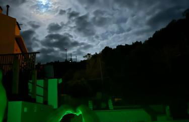 B&C Furnas House - Photo 61