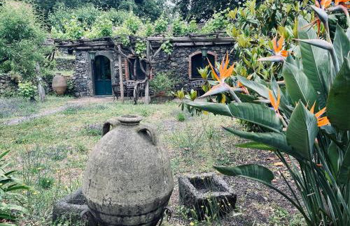 Country House Etna Glicine - Foto 7