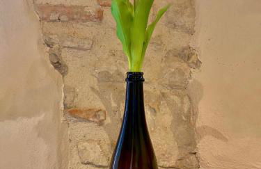 Casa Tormena - Foto 24