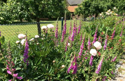 Ferienwohnung Haumannshof - Foto 30