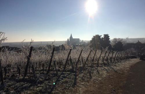 Huna’gîte - Foto 28