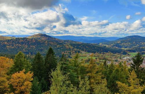Altes Forsthaus Bodenmais - Foto 42