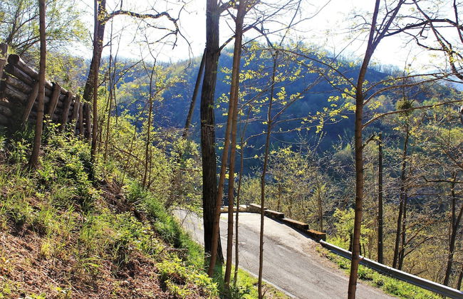 Lovely 1-bed Studio in Borgo val di Taro - Foto 26