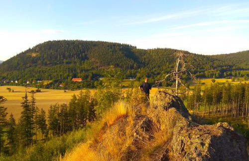 Sudecka Ostoja z Balią i Sauną - Foto 51