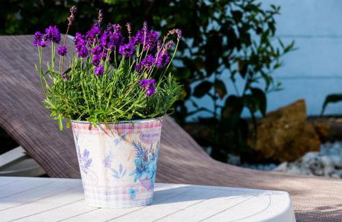 Casa Olina - Photo 5