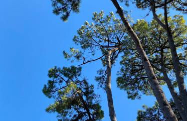 La cabine de Léontine - Foto 16
