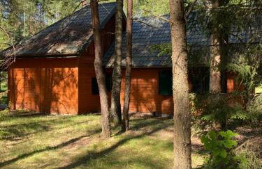 Między Sosnami - Foto 4