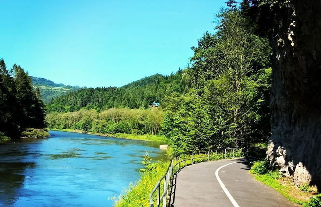 Jaworki Green Dream - Foto 37