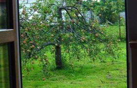 Free Bikes, WiFi, AC, Garden, 2 Beds - Foto 18