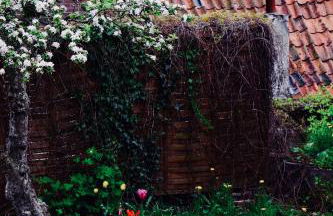 Löwenherz Appartements - Foto 56