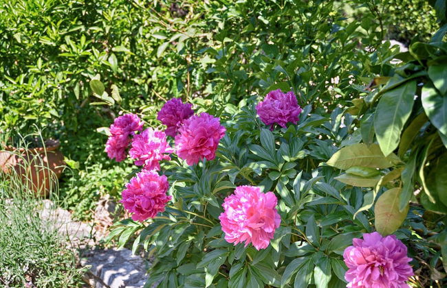 Apartment 1642 - Foto 21