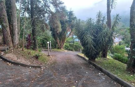 SÍTIO ALTO DA COLINA - Foto 4