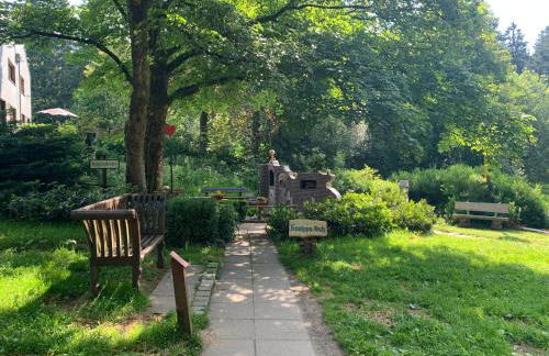 Waldhaus Hahnenklee - Foto 45