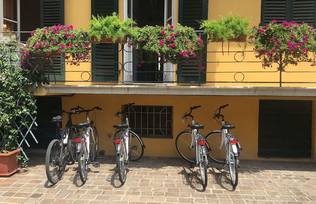 Lucca in Villa San Donato - Foto 54