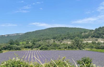 Le domaine du Viticulteur - Gite les Vignes - Foto 29