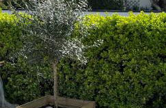 Sables des Dunes, jolie maison neuve tout confort, vacances famille ou entre amis, 500 m plage - Foto 33