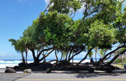 Maluhia Kahakai 2 Bedroom Condo by RedAwning - Foto 92