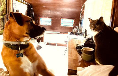 Romantic Glamping Getaway in a Pet Friendly Caravan, Ideal to Explore Hudson Valley - Foto 11