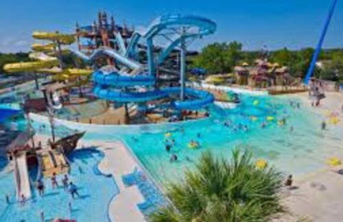 The Blue Pelican - Foto 39