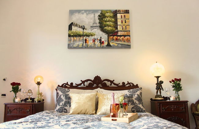 Maltese Maltese - Foto 21