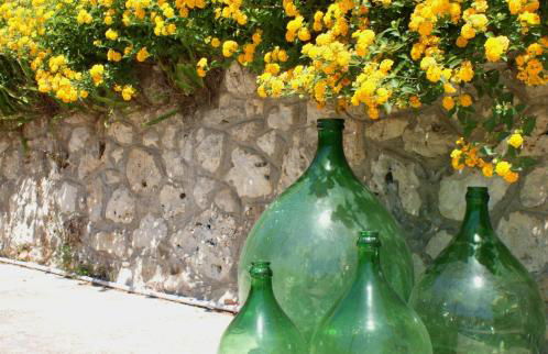 Residence Conchiglia San Giovanni - Foto 8