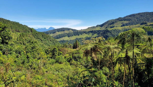 Tour en 4x4 por Jardín - Photo 2