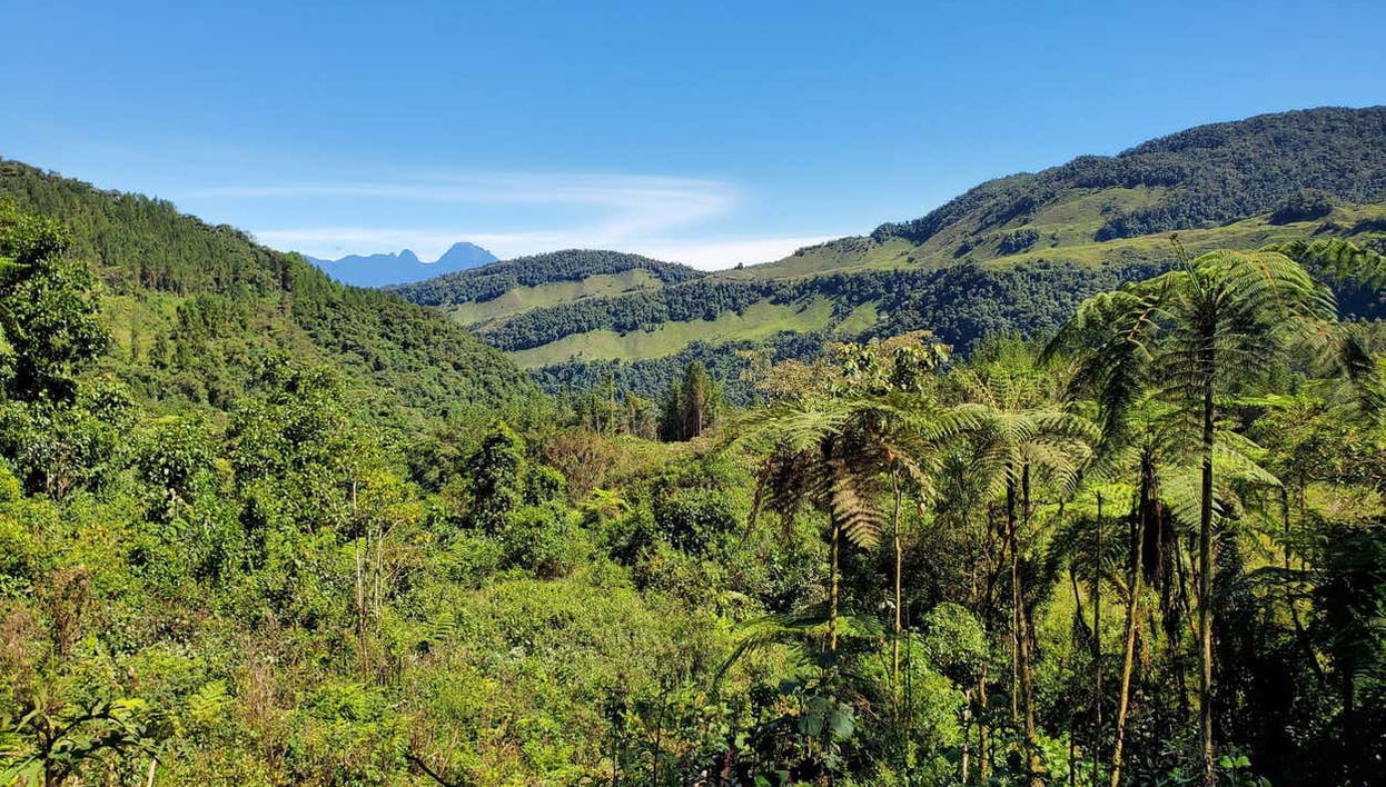 Jardín 4x4 Tour - Foto 1