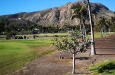 Luxury Alondras E108 - Foto 36