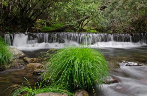 Sweet Home - Praia das Rocas - Foto 10