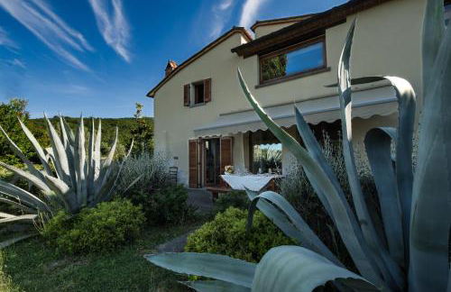 Castellina di Bocco - Foto 15