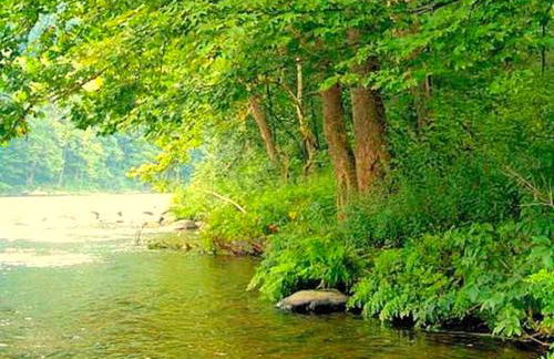 Riverfront Cabin Rental with a Private Beach on Youghiogheny River near Pittsburgh, Pennsylvania - Foto 23