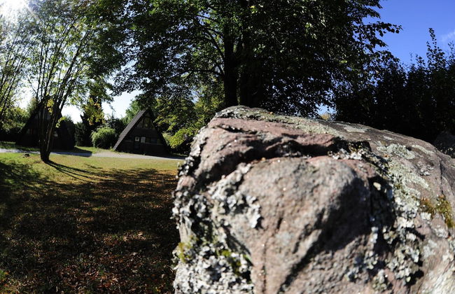 Bungalow in Waldbrunn - Foto 25