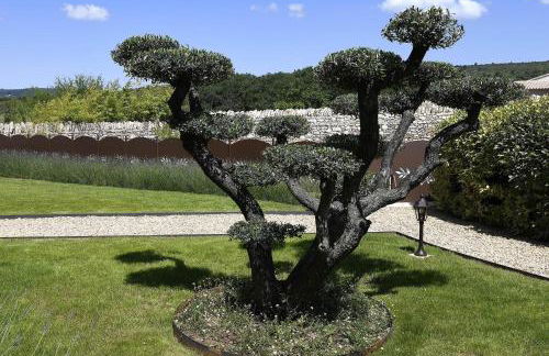 Gite des Demoiselles - Foto 31