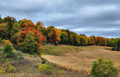 8 Mi to Crystal Mountain: Peaceful Up North Home - Foto 30