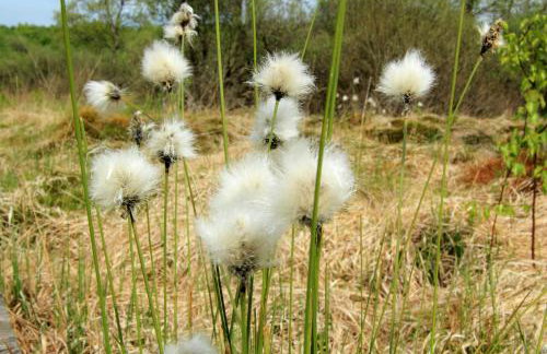 Ferienhaus Vennblick - Foto 49