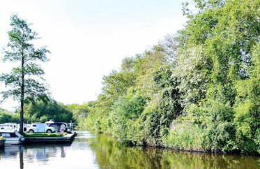 TAIL END: Bijoux Broads & Beach Base! Now with TV! - Photo 4