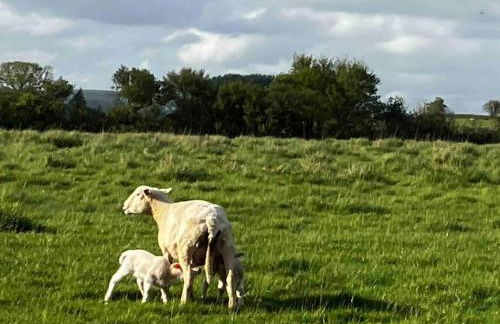 Glen Erin Hut - Foto 12