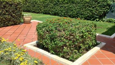 Casa mare e relax - Foto 5