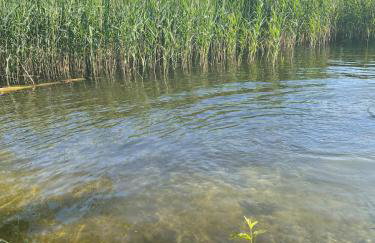 Dobrostan Domek w Naturze - Foto 33