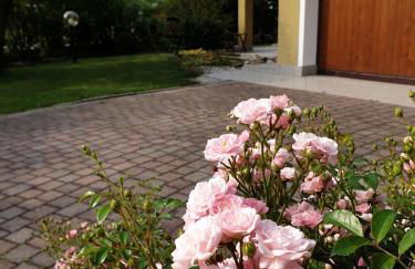 Residence Stradella Verde - Photo 10