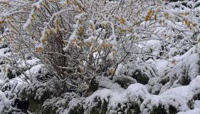 Casa Sorelle Baiocchi - Foto 5, Garden view